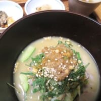 「猫と人の暑さ対策」
