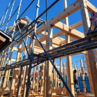 建前総桧造りの家