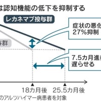 認知症治療薬レカネマブ、費用対効果が悪い