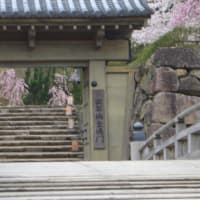 雨の中の湯村温泉