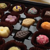 2024年　St. Valentine's Day　スパークルスカイ