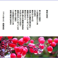 晩秋の宝石
