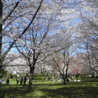 随分ご無沙汰になってしまいましたm(__)m