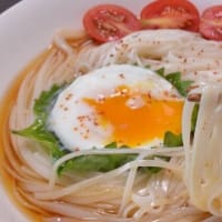 ちょっと捻りを加えた、稲庭うどん