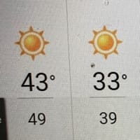 49.6℃の灼熱地獄・・・