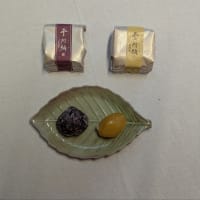 19日　秋篠宮皇嗣同妃両殿下・京都