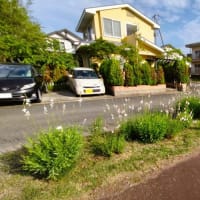 　晴れたのに予報は☁??、