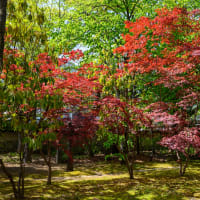 立山黒部アルペンルートの前日:長野観光