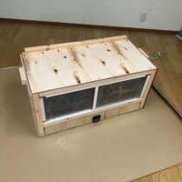 ～我が家のペットを紹介～