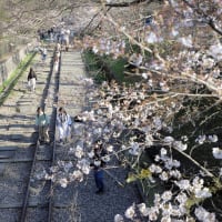 京都一周トレイル　大文字山