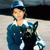 刑事犬カール ( 1977 TBS )- 晴れ、ときどき映画 - 令和ザコ伝説 刑事犬カール ( 1977 TBS )- 晴れ、ときどき映画 - 令和ザコ伝説