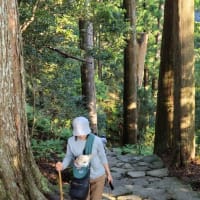 日本三名瀑｢那智の滝｣へ～GW三重和歌山旅行⑦