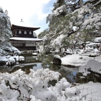 １月２５日　雪の銀閣寺