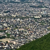 天狗〜八王子山〜白山展望台〜法泉寺山〜湯村山