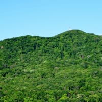 2025.06.17(火)AM06:44の藻岩山・平和祈念塔・手稲山・三角山・円山