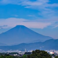 30/Jul   朝の富士山とマガモとつばめとイルカのショー