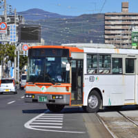 とさでん交通 166
