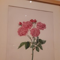 美術館へ
