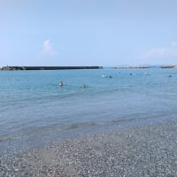 高知に行ってきました