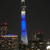 日向坂46の虹開催記念特別ライティング26