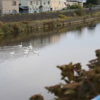 長旅、お疲れ様！
