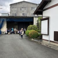 粕屋町バラまつりウォーキング！