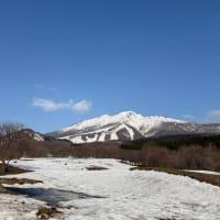 晴天の森吉山