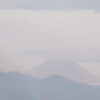 早朝散歩ついでに都議会議員選挙の投票も