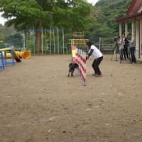 交流会in　Ｓ保育所