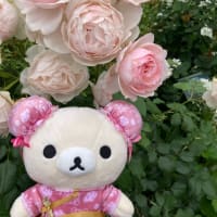 四季の香ローズガーデン。