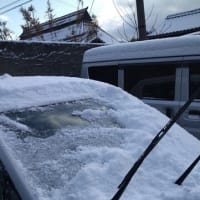 雪