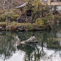 京都・左京区、永観堂（２）