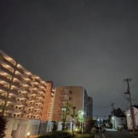 いろいろ思う。。。