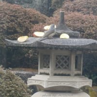 　感謝の気持ち。