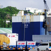 那覇新港に1日張り付いてみた（20250606）