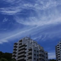 乱れる雲
