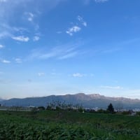 朝の散歩での新川と手稲山の風景　2024.5.10朝