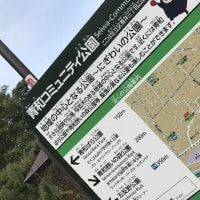 【青井3丁目 青和コミュニティ公園】
