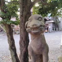 春、ですね