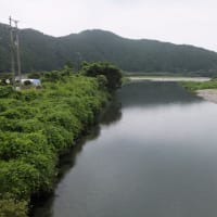 本日の海部川