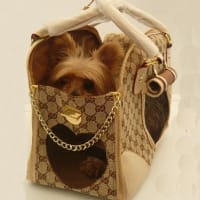 Louis Vuitton ペット用品 ブランド ルイヴィトン 犬服ペット服 激安 ペット用品 通販 通信販売 オンラインショッピング Louis Vuitton ペット用品 ブランド ルイヴィトン 犬服ペット服 激安 ペット用品 通販 通信販売 オンラインショッピング