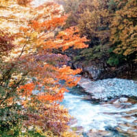 水上温泉
