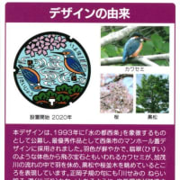 愛媛県　西条市　マンホールカード