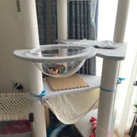 新しいキャットタワー