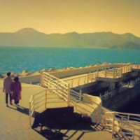 　韓国ドラマ「病院船」から（連載214）