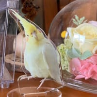 ねぇたん⭐︎小さいでス？