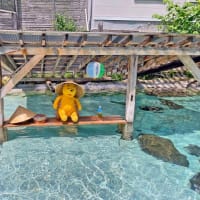 プーさん　北海道伊達市　北湯沢温泉　澤の宿錦泉閣に　立ち寄り入浴したんだよおおう