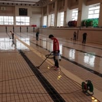 ４日目のようす
