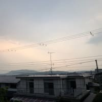 かみなりが