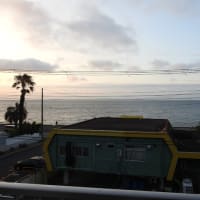 めちゃうれしい限りの土曜日でした・・・。